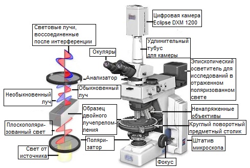 Детские товары