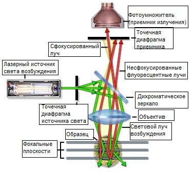 Схема хода лучей в конфокальной микроскопии