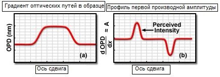 Происхождение контраста в ДИК-микроскопии