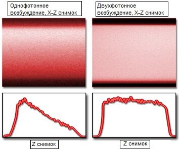 Однофотонные и двухфотонные профили сканирования