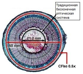 Поле зрения при малых увеличениях