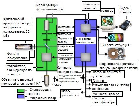 Схема современного лазерного сканирующего конфокального микроскопа