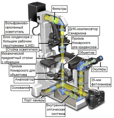 Вольфрамово-галогенный осветитель