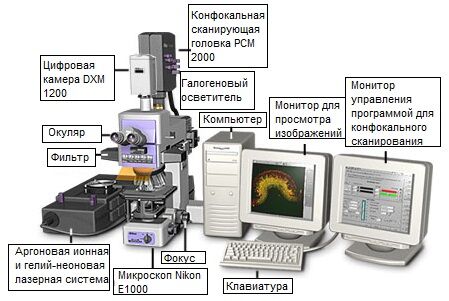 Конфигурация лазерного сканирующего конфокального микроскопа Nikon