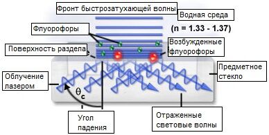 Флуоресценция полного внутреннего отражения