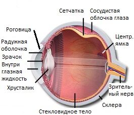 Текстура человеческого глаза