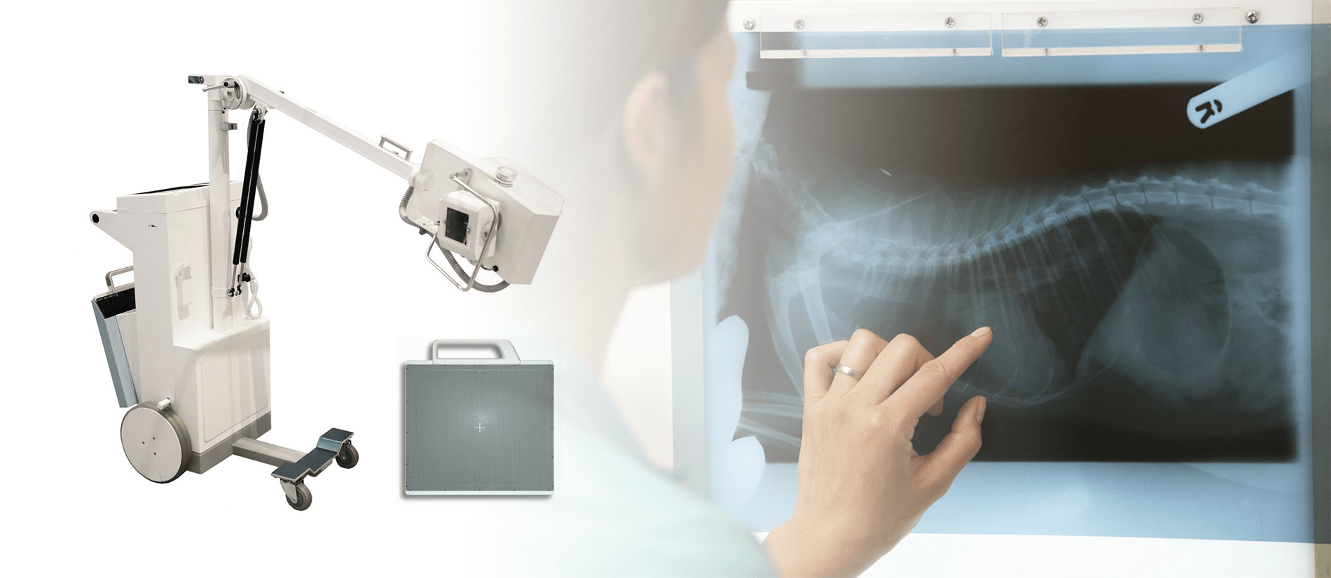 Ветеринарные рентген-аппараты