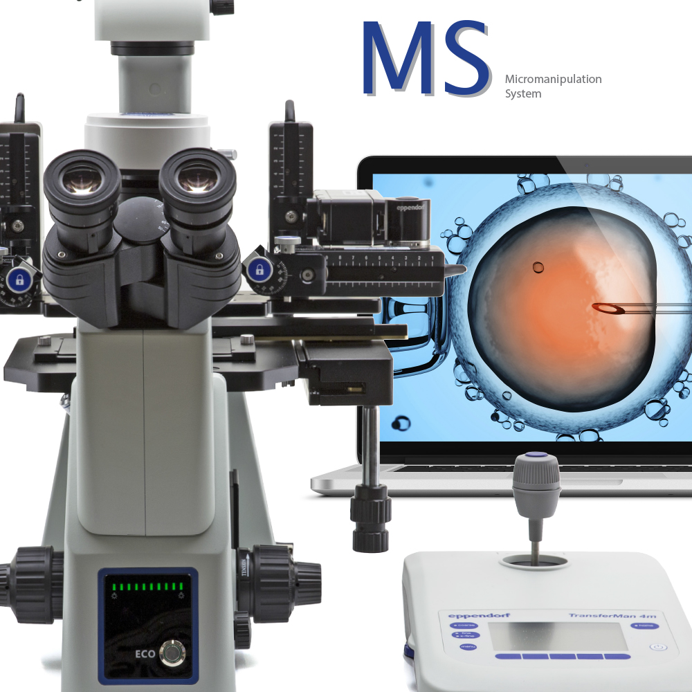 Микроскоп серии IM Optika - опция ЭКО