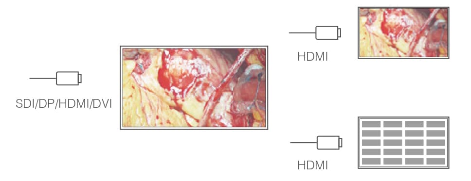 Схема клонирования Схема клонирования