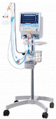 Leoni plus