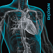 Cataloge Dixion EN
