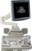 Logiq P5 Pro