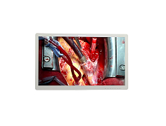 Монитор эндоскопический хирургический Beacon S3221P (Китай)